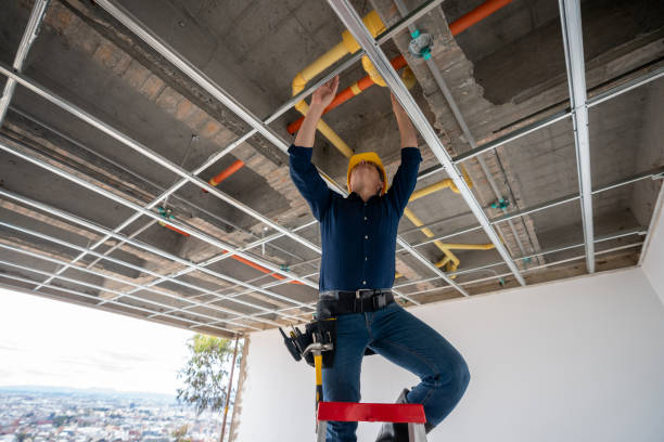 Best Plumbing Services Near Me  in Mason, MI