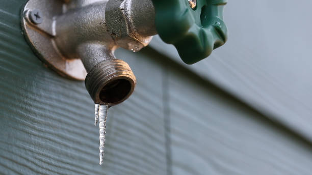 Best Leak Detection Services  in Mason, MI