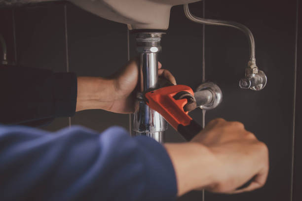 Best Plumbing Inspection Services  in Mason, MI
